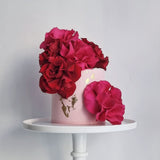 Rose Bloom