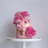Rose Bloom