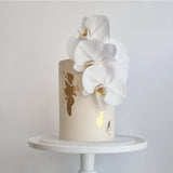 Orchid Bloom