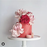 Rose & Macs